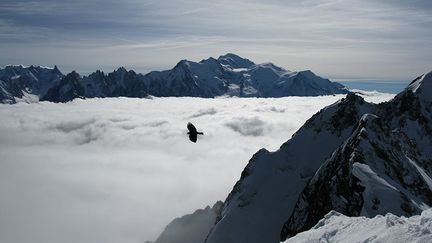 ... (Hervé Gourdel )