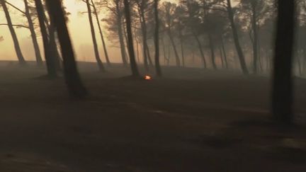 Bouches-du-Rhône : un violent incendie ravage des centaines d’hectares