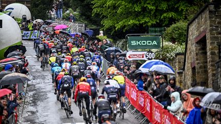 Le peloton au Mur de Huy, sur la Flèche Wallonne, le 17 avril 2024, à Huy.  (JASPER JACOBS / BELGA MAG / AFP)