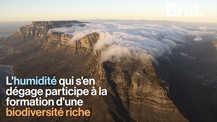 À Cape Town, en Afrique du Sud, la montagne de la Table est une formation emblématique de la ville.