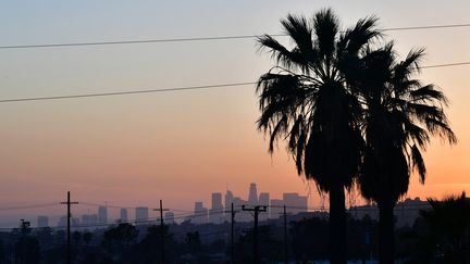 Los Angeles, en avril 2019 (FREDERIC J. BROWN / AFP)