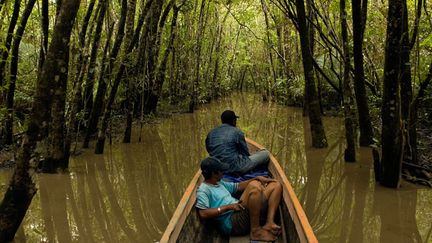 &nbsp; (Les deux journalistes étaient en reportage en Papouasie © Maxppp)