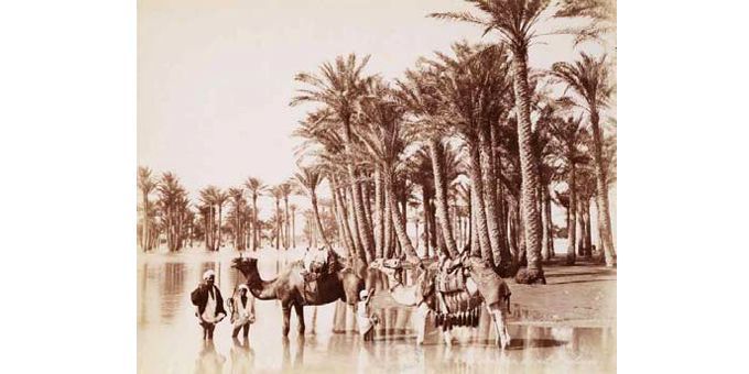 Inondation du Nil et palmiers
 (Les frères Zangaki)