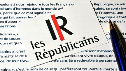 La primaire des Républicains, organisée en vue de l'élection présidentielle 2017, aura lieu les 20 et 27 novembre 2016. (GERARD BOTTINO / CITIZENSIDE.COM / AFP)