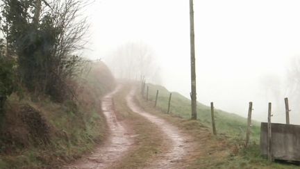 Accident de chasse : une randonneuse tuée par une adolescente qui participait à une battue aux sangliers