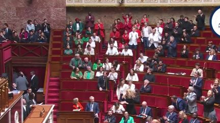 Assemblée nationale : le nouveau coup d'éclat des députés insoumis (franceinfo)