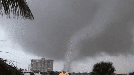 Aux États-Unis, une tornade a frappé la Floride, samedi 6 janvier. Elle n'a fait aucune victime, mais il y a des dégâts matériels. Des lignes électriques ont été arrachées, provoquant des coupures de courant dans certains quartiers. (France 2)