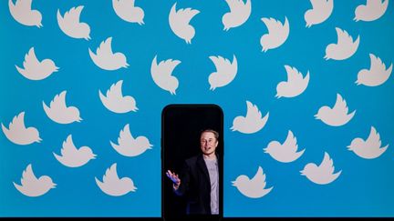 La photo d'Elon Musk s'affiche sur un smartphone devant des logos de Twitter, le 5 août 2022. (SAMUEL CORUM / AFP)