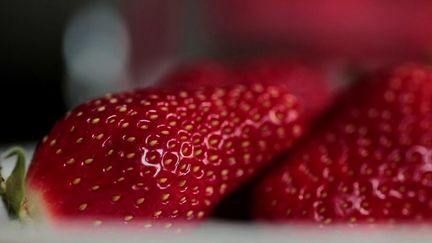 La fraise mariguette, une variété haut de gamme et particulièrement sucrée, a obtenu son Label rouge. (CAPTURE ECRAN FRANCE 2)