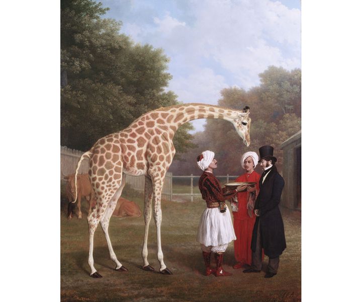 Jacques-Laurent Agasse, "Girafe nubienne", 1827, Londres, The Royal Collection Trust&nbsp; (Photo : © Royal Collection Trust / © Her Majesty Queen Elizabeth II 2020)