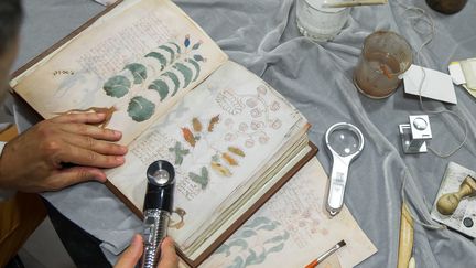 9 août 2016 aux éditions Siloe de Burgos en Espagne : manipulation du "Manuscrit Voynich" en vue de sa reproduction.
 (CESAR MANSO / AFP)