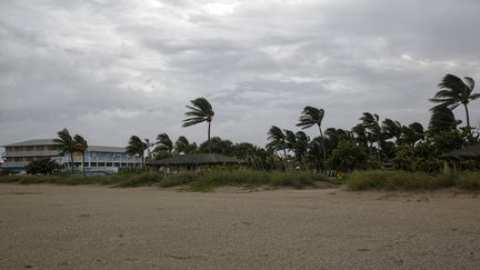 Des rafales de vent&nbsp;à Fort Pierce (Floride) à l'approche de&nbsp;l'ouragan Dorian, le 2 septembre 2019. (ADAM DELGIUDICE / AFP)