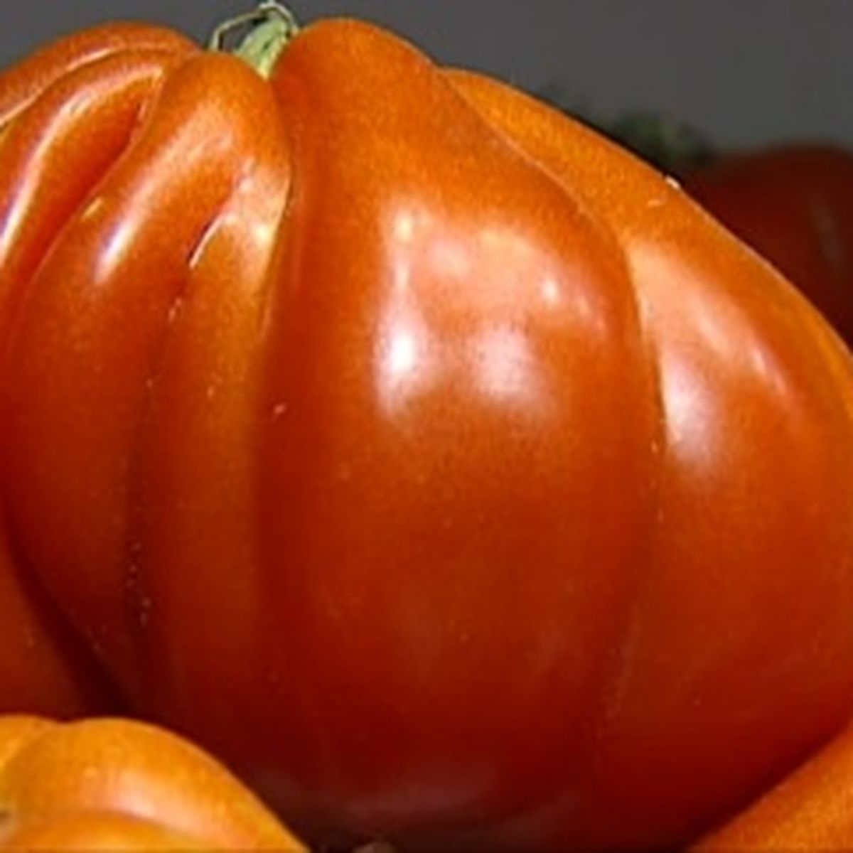 Le scandale des fausses tomates coeur de boeuf