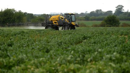 Pesticides : des ventes en hausse malgré l'objectif gouvernemental de réduction