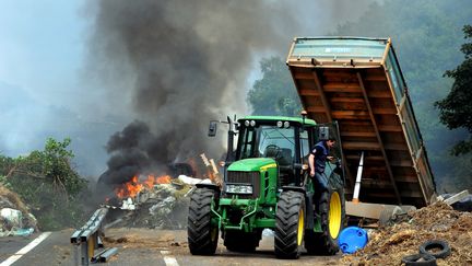 Des agriculteurs br&ucirc;lent des pneus et de la paille lors du blocage de l'autoroute entre Morlaix et Brest, le 22 juillet 2015. (FRED TANNEAU / AFP)