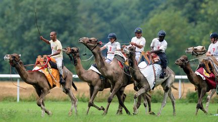 Lors du championnat de France de course de dromadaires, le 10 ao&ucirc;t 2014, &agrave;&nbsp;La Chartre-sur-le-Loir (Sarthe). (JEAN-FRANCOIS MONIER / AFP)