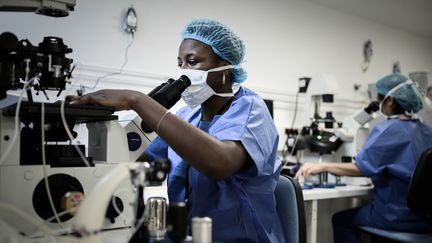 Le personnel médical de l'unité dédiée à la procréation médicalement assistée. (illustration) (PHILIPPE LOPEZ / AFP)