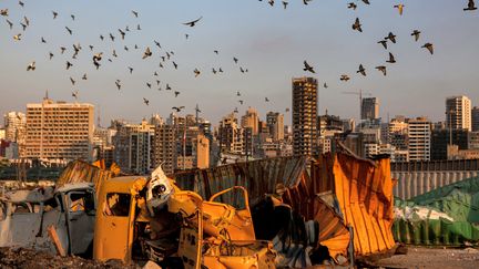 Des pigeons volent au dessus du port de Beyrouth, où des conteneurs ont été détruits par l'explosion,&nbsp;le 14 juillet 2021. (PATRICK BAZ / AFP)