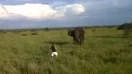 Capture d'&eacute;cran de la vid&eacute;o diffus&eacute;e le 13 mai 2013, o&ugrave; un guide de safari court vers un &eacute;l&eacute;phant, en Afrique du Sud. (YOUTUBE)