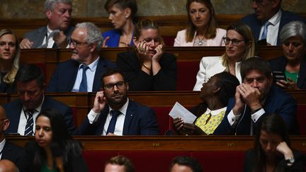 Le premier texte qui sera examiné jeudi portera donc sur la constitutionnalisation de l'IVG, puis sur l'interdiction de la corrida. Photo d'illustration. (CHRISTOPHE ARCHAMBAULT / AFP)