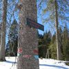 Un paneau indique la pinède de la Bibliothèque du futur, dans la forêt de Nordmarka, près d'Olso (Norvège). (VIBEKE HERMANRUD / BJORVIKA UTVIKLING)