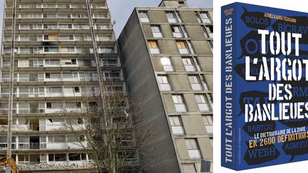 Chantier de destruction de tours à Clichy-sous-Bois (18 mars 2010), et le Dico de la Zone (éditions de l'Opportun)
 (Patrick Kovarik / AFP)