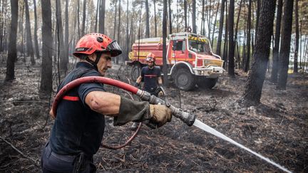 Des sapeurs-pompiers face aux incendies en Gironde, en août 2022.&nbsp; (DAVID THIERRY / MAXPPP)