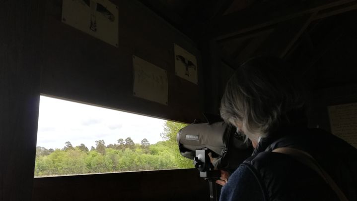 Marie-des-Neiges de Bellefroid, chargée de projets au sein de l’association Loiret Nature Environnement, sur le site de l'étang du Ravoir, le 10 mai 2019. (SARAH TUCHSCHERER / FRANCE-INFO)