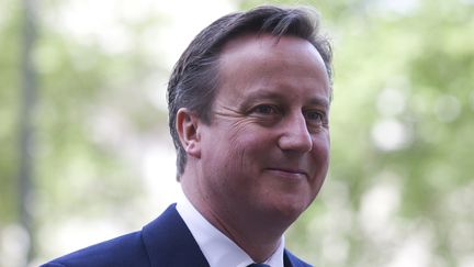 Le Premier ministre britannique, David Cameron, le 10 mai 2015, &agrave; Londres. (JUSTIN TALLIS / AFP)