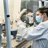 Une chercheuse de l'université d'Aalborg (Danemark) séquence des échantillons pour identifier d'éventuels cas du variant identifié au Royaume-Uni, le 15 janvier 2021. (HENNING BAGGER / RITZAU SCANPIX / AFP)