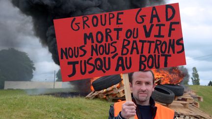 Un employ&eacute; de l'abattoir Gad &agrave; Lampaul-Guimiliau (Finist&egrave;re), le 11 juin 2013. (DAMIEN MEYER / AFP)