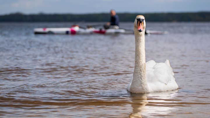 Informer sur l’état des cours d’eau d’Europe, c’est aussi le but de cette expédition menée par Christophe Gruault et réalisée avec l’appui du Muséum d’Histoire naturelle de Paris. (MAGNUS LUNDGREN / L'EUROPE A LA RAME)