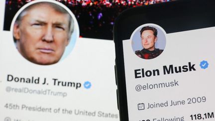 Le milliardaire Elon Musk, propriétaire de Twitter, a organisé une discussion vocale avec Donald Trump sur la plateforme, lundi 12 août 2024. (JAKUB PORZYCKI / NURPHOTO / AFP)