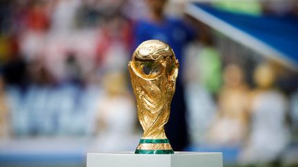 Le trophée de la Coupe du monde de football, exposé lors de la finale remportée par la France face à la Croatie, le 15 juillet 2018. (SEBNEM COSKUN / ANADOLU AGENCY / AFP)