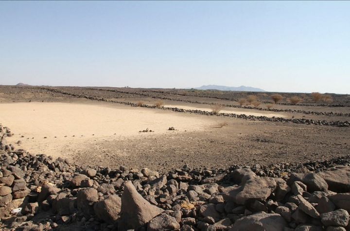 Mystérieuse structures de pierres dans le désert saoudien (octobre 2017)
 (GRANT SCROGGIE / THE UNIVERSITY OF WESTERN AUSTRA / AFP)