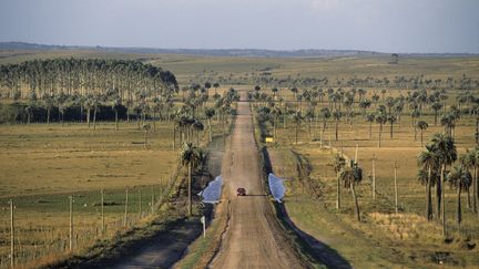 Une voiture sur une route uruguayenne. (Illustration).&nbsp; (MARC VRIN / PHOTONONSTOP)