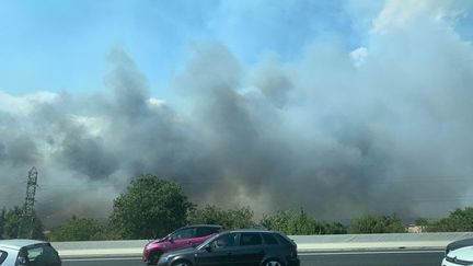 Un incendie s'est déclaré à proximité de l'autoroute A9, le 1er août 2020,&nbsp;entre Milhaud et Nîmes (Gard).&nbsp; (JOANE MERIOT / FRANCE TELEVISIONS)