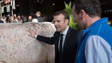 Emmanuel Macron, le 23 février 2019 au Salon de l'agriculture, à Paris. (MAXPPP)