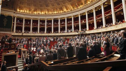 L'h&eacute;micycle de l'Assembl&eacute;e nationale, le 29 juin 2010. (PATRICK KOVARIK / AFP)