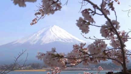 Japon : le Mont Fuji victime du surtourisme