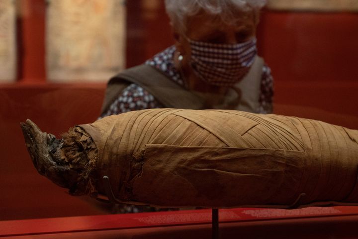 La momie&nbsp;du varan exposée au musée Granet d'Aix-en-Provence, le 18 septembre 2020 à la veille de l'ouverture de l'exposition "Pharaon, Osiris et la momie" (CHRISTOPHE SIMON / AFP)