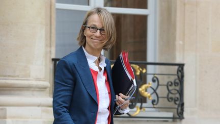 Françoise Nyssen, février 2018
 (LUDOVIC MARIN / AFP)