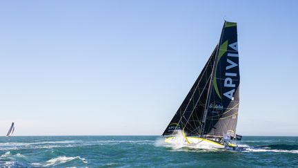 Charles Dalin (Apivia) au départ du Vendée Globe, le 8 novembre 2020, aux Sables-d'Olonne. (THIBAUD VAERMAN / HANS LUCAS / AFP)