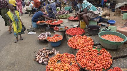 Avant la pandémie et l'envolée des prix, les chiffres étaient déjà alarmants, car un enfant sur trois au Nigeria souffre d'un retard de croissance, et un sur dix d'une malnutrition aiguë ou de maigreur. Soit 17 millions d'enfants. "Chaque jour, nous voyons entre cinq et sept enfants qui souffrent de malnutrition", explique le département nutrition de l'hôpital pour enfants de Massey Street, au cœur du quartier de Lagos Island.&nbsp; &nbsp; &nbsp; (PIUS UTOMI EKPEI / AFP)