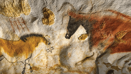 Grotte (Lascaux)