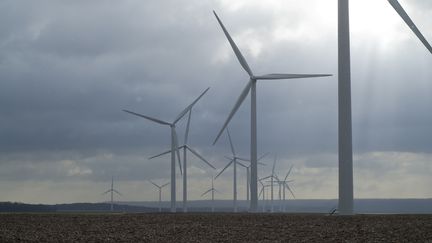 Des &eacute;oliennes dans un champ en Picardie, le 30 janvier 2010. (GILLES MENANTEAU / BIOSPHOTO / AFP)