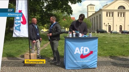 Un stand de l'Afd en Allemagne. (franceinfo)