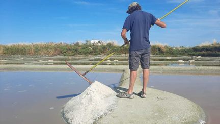 Récolte de sel dans les marais salants de Guérande en juin 2023. (HELENE ROUSSEL / FRANCE BLEU LOIRE OCEAN)