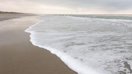 La plage d'Etaples (Pas-de-Calais), le 10 janvier 2006. (PHILIPPE GIRAUD / BIOSPHOTO / AFP)