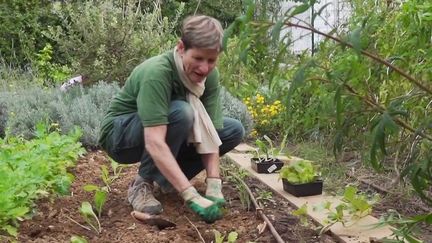 Alimentation : les Français de retour au potager pour lutter contre l'inflation